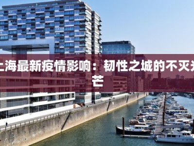上海最新疫情影响：韧性之城的不灭光芒
