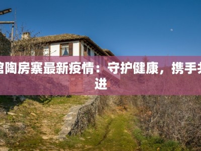 馆陶房寨最新疫情：守护健康，携手共进