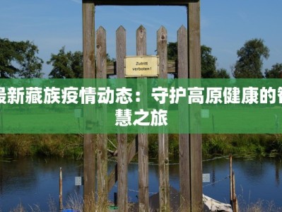 疫情取得最新成效：胜利曙光下的新生