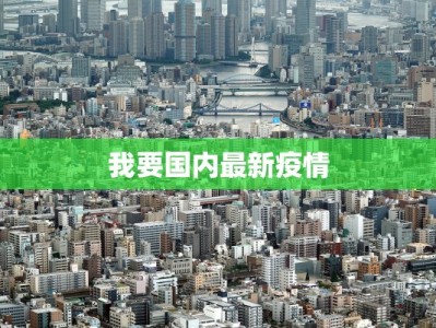 我要国内最新疫情