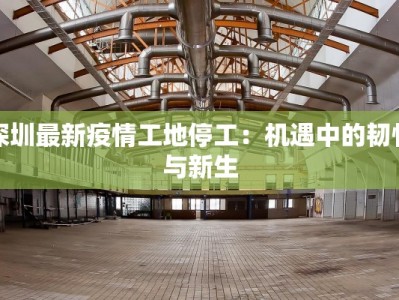 深圳最新疫情工地停工：机遇中的韧性与新生