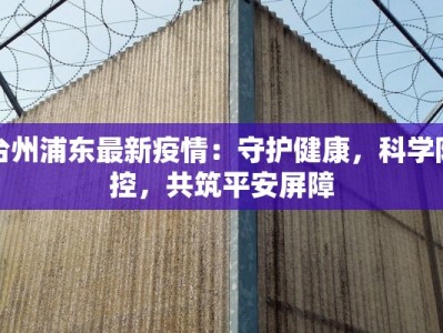 台州浦东最新疫情：守护健康，科学防控，共筑平安屏障