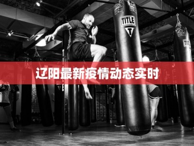 辽阳最新疫情动态实时