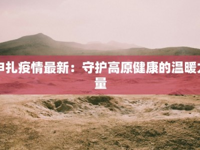 申扎疫情最新：守护高原健康的温暖力量