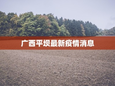 广西平坝最新疫情消息