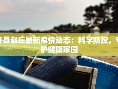 任县赵庄最新疫情动态：科学防控，守护健康家园