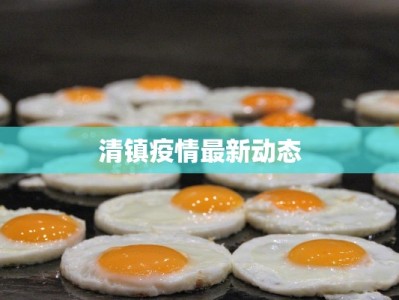清镇疫情最新动态