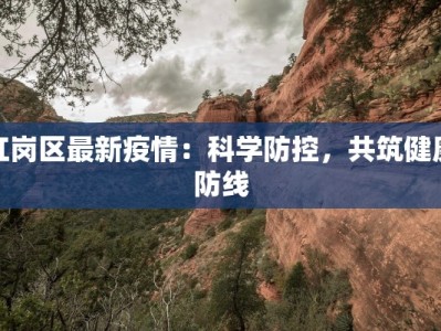 红岗区最新疫情：科学防控，共筑健康防线