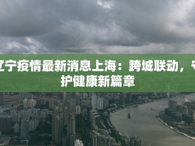 辽宁疫情最新消息上海：跨城联动，守护健康新篇章