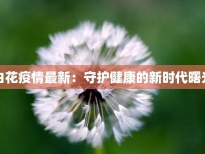 白花疫情最新：守护健康的新时代曙光