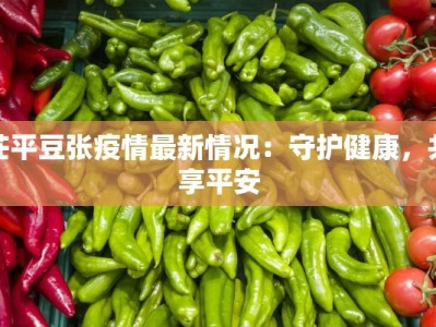 茌平豆张疫情最新情况：守护健康，共享平安