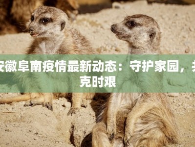 贵州的疫情消息最新：科学防控，共筑健康屏障