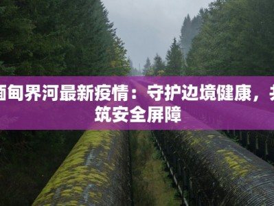 缅甸界河最新疫情：守护边境健康，共筑安全屏障