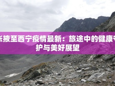 张掖至西宁疫情最新：旅途中的健康守护与美好展望