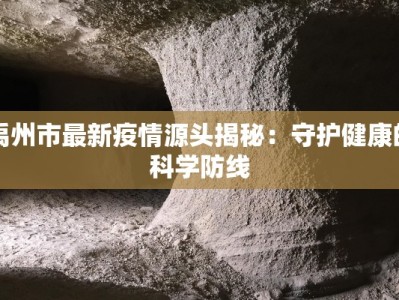 禹州市最新疫情源头揭秘：守护健康的科学防线