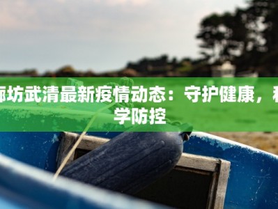 廊坊武清最新疫情动态：守护健康，科学防控