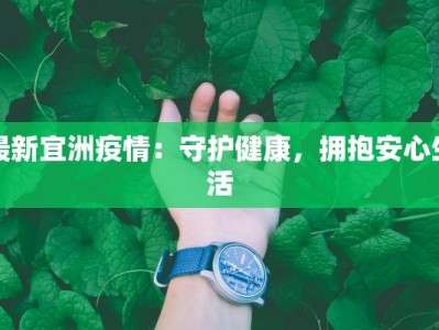 最新宜洲疫情：守护健康，拥抱安心生活