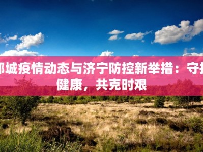 邹城疫情动态与济宁防控新举措：守护健康，共克时艰