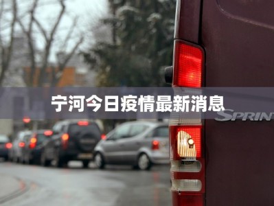 宁河今日疫情最新消息