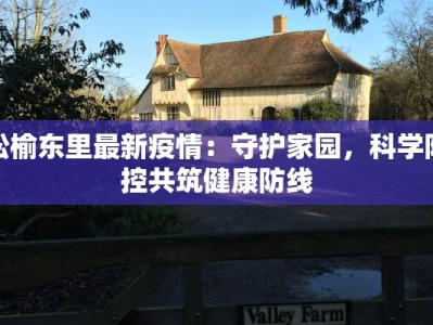 松榆东里最新疫情：守护家园，科学防控共筑健康防线