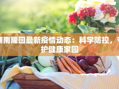 湖南隆回最新疫情动态：科学防控，守护健康家园