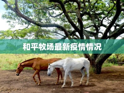 最新沈阳疫情最新消息