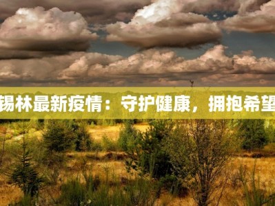 锡林最新疫情：守护健康，拥抱希望