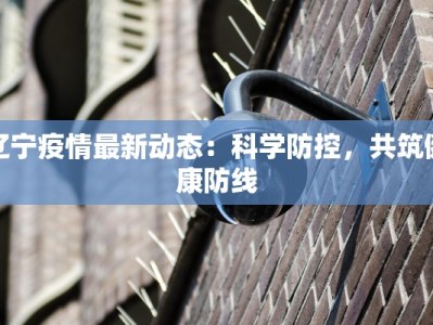 辽宁疫情最新动态：科学防控，共筑健康防线