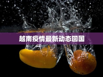越南疫情最新动态回国
