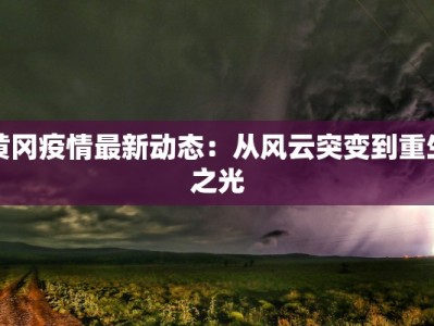 黄冈疫情最新动态：从风云突变到重生之光