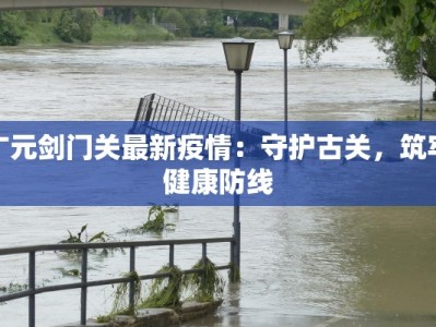 湖北最新疫情数：科学防控下的韧性与希望