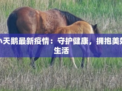 小天鹅最新疫情：守护健康，拥抱美好生活