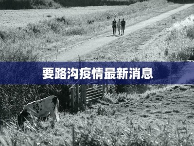 要路沟疫情最新消息