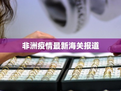 非洲疫情最新海关报道