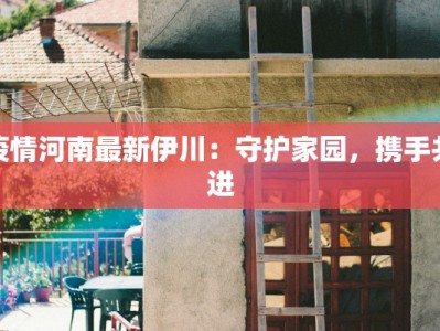 疫情河南最新伊川：守护家园，携手共进