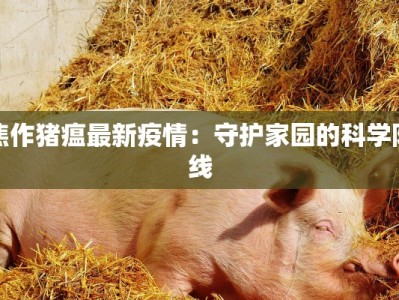 项城最新疫情：科学防控，守护健康家园