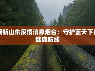最新山东疫情消息烟台：守护蓝天下的健康防线