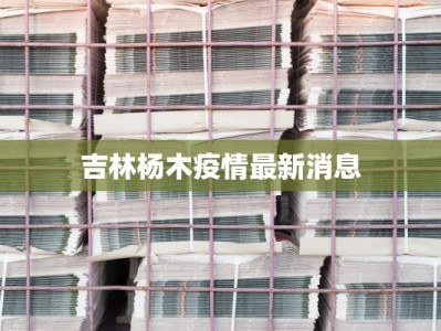 最新望都高速疫情管控：守护出行，筑牢安全防线