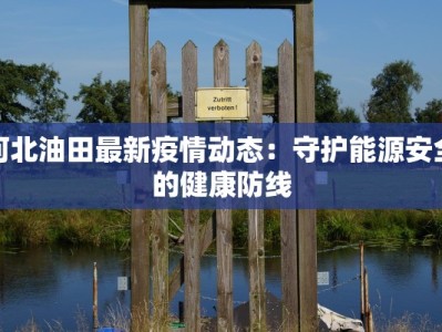 河北油田最新疫情动态：守护能源安全的健康防线