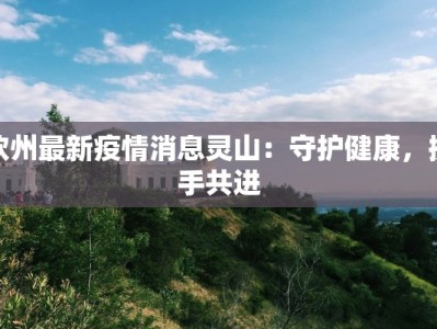 钦州最新疫情消息灵山：守护健康，携手共进
