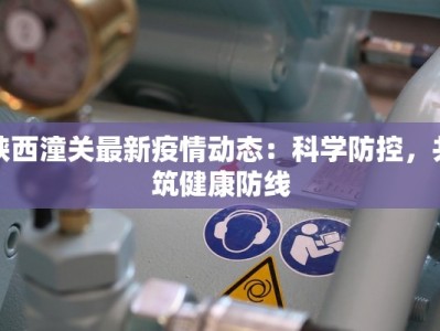陕西潼关最新疫情动态：科学防控，共筑健康防线