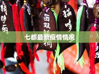 洪灾中的疫情挑战：守护生命，筑牢防线