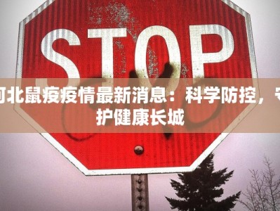 隆回疫情最新确诊：守护家园，共克时艰