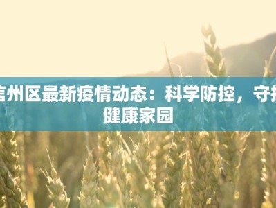 信州区最新疫情动态：科学防控，守护健康家园