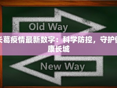 长葛疫情最新数字：科学防控，守护健康长城