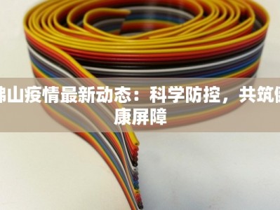 佛山疫情最新动态：科学防控，共筑健康屏障