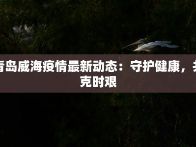 青岛威海疫情最新动态：守护健康，共克时艰
