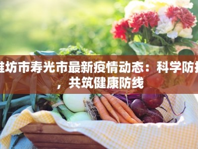维坊市寿光市最新疫情动态：科学防控，共筑健康防线