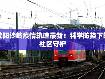 沈阳沙岭疫情轨迹最新：科学防控下的社区守护