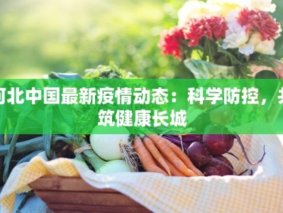 河北中国最新疫情动态：科学防控，共筑健康长城